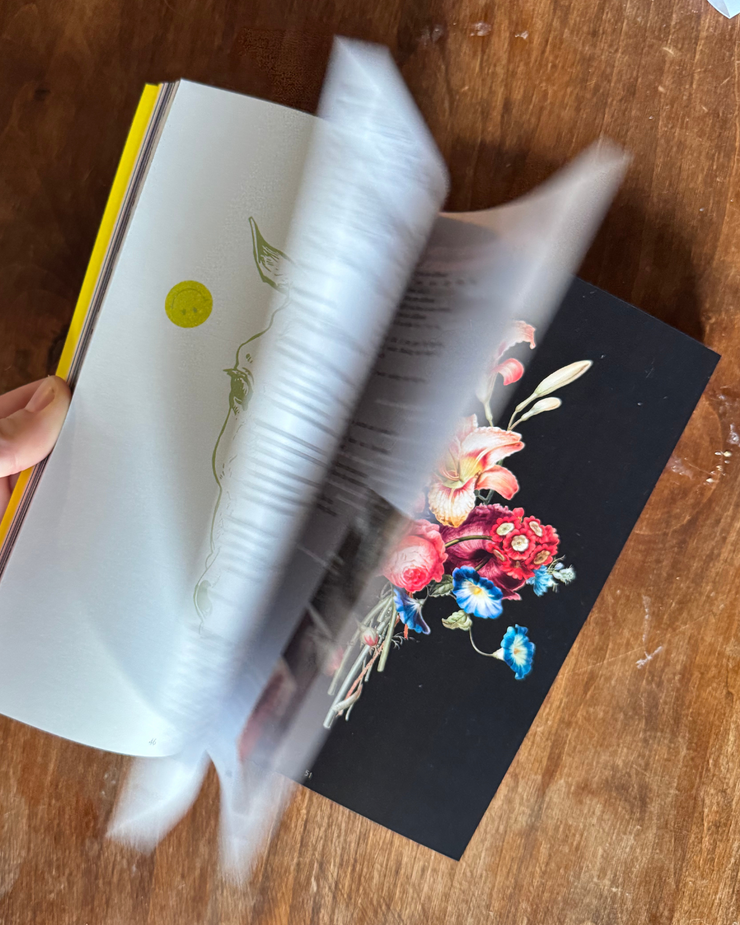 Fruitslice #4 Maps, Manuals & How-to's