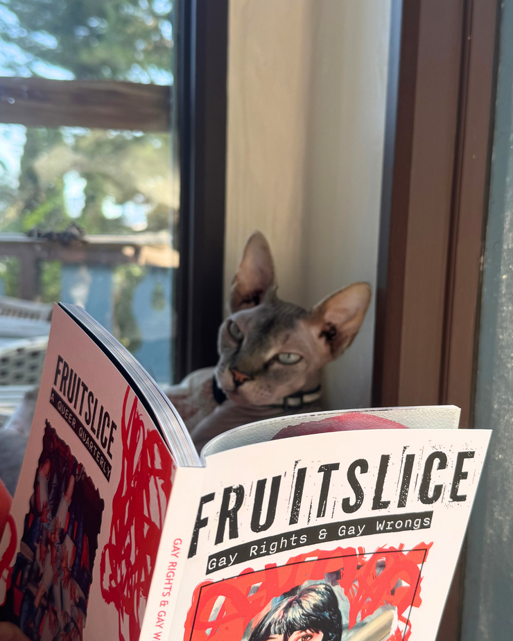 Fruitslice #3 Gay Rights & Gay Wrongs
